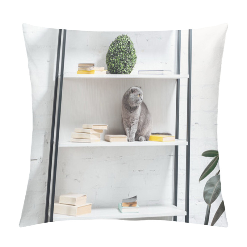 Personality  Cute Scottish Fold Cat Sitting On Shelving Unit On White Pillow Covers