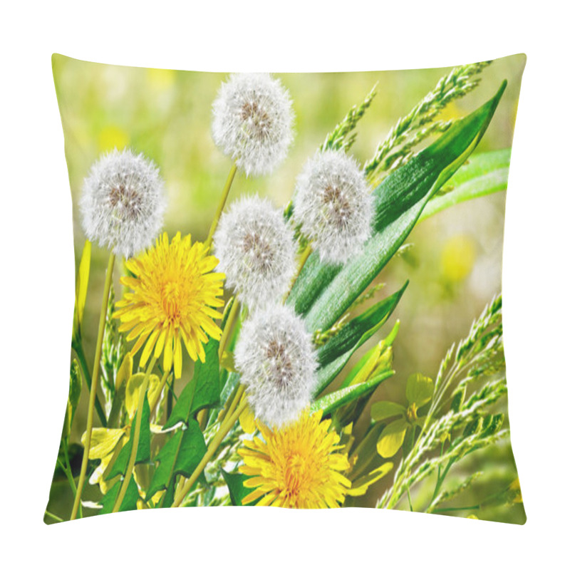 Personality  Summer Landscape. Flowers Dandelions Pillow Covers