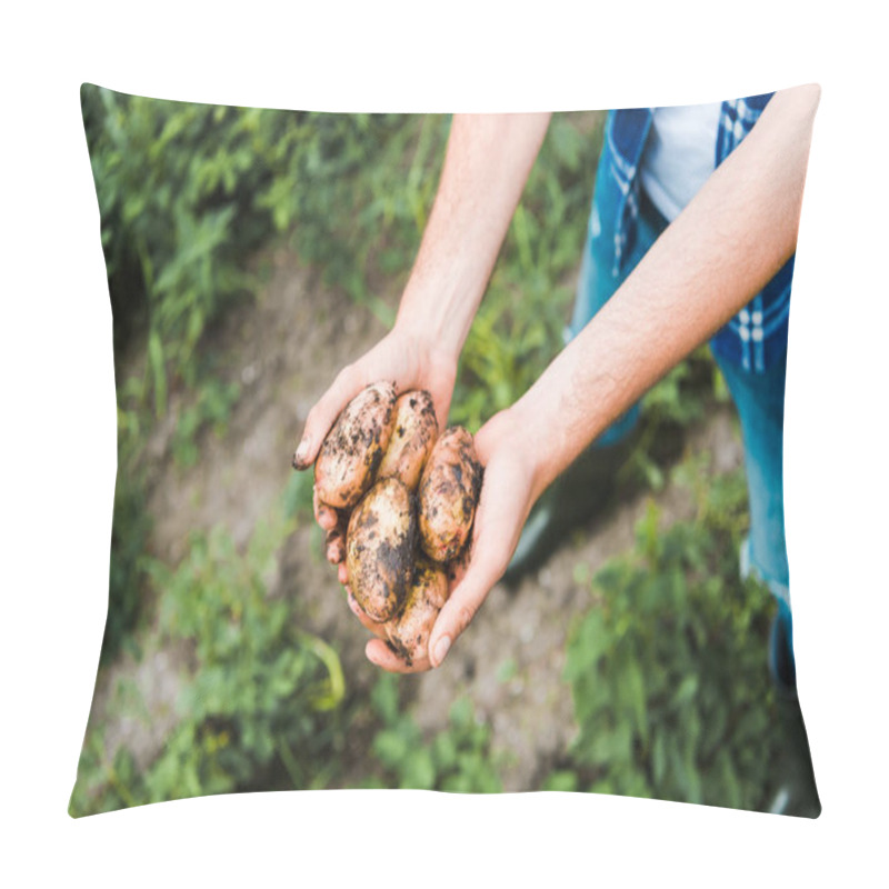 Personality  Cropped Image Of Farmer Holding Ripe Potatoes In Hands In Field  Pillow Covers