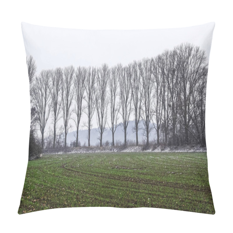 Personality  Winter Landscape Scenic With Green Meadow And Clusters Of High Trees Sprinkled With Snow In Germany Pillow Covers