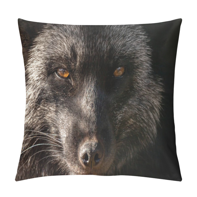 Personality  A Black And Brown Fox. Silver-black Fox. Vulpes Vulpes. Pillow Covers