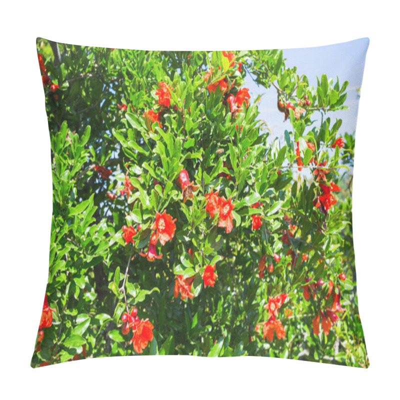 Personality  Flowering Plantation Of Pomegranate In The Valleys Of Turkey Pillow Covers