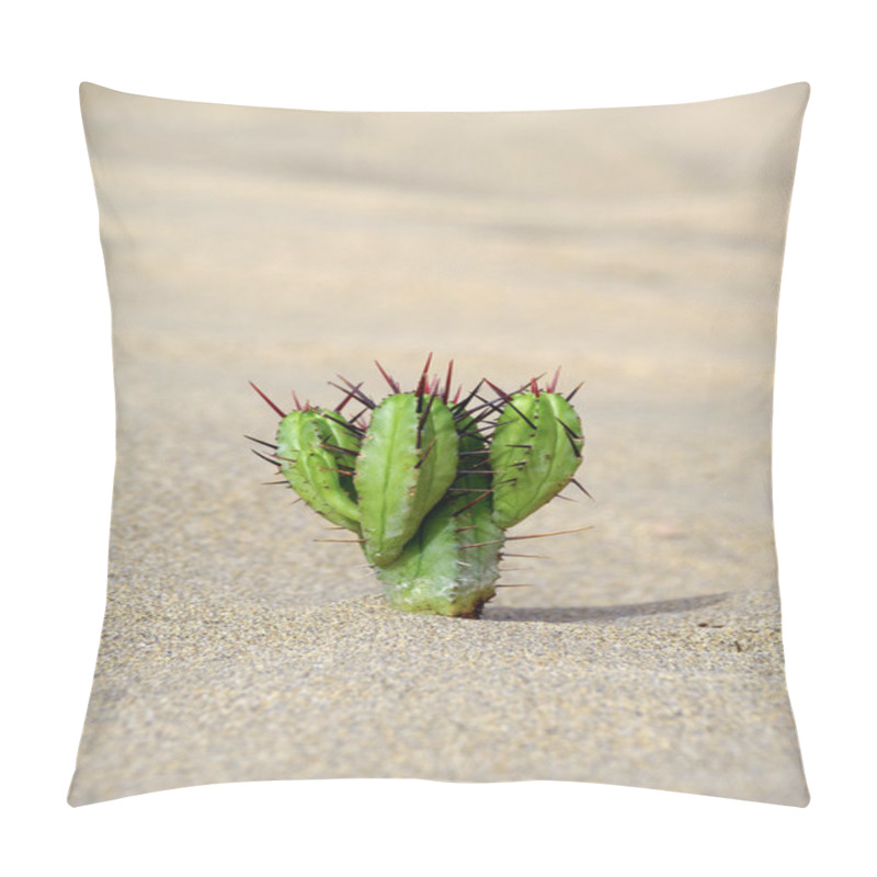 Personality  Cactus In The Sand Pillow Covers