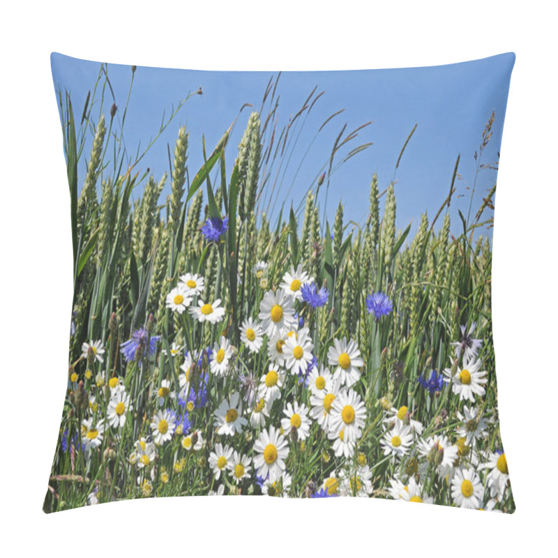 Personality  Beautiful Flowers, Floral Concept Background Pillow Covers