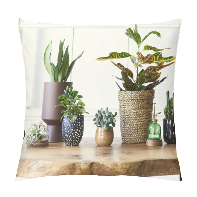 Personality  Modern Composition Of Home Garden Filled A Lot Of Beautiful Plants, Cacti, Succulents, Air Plant In Different Design Pots. Stylish Botany Interior. . Home Gardening Concept. Template. Pillow Covers