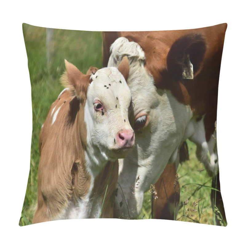 Personality  Cattle, Cows And Calves Pillow Covers