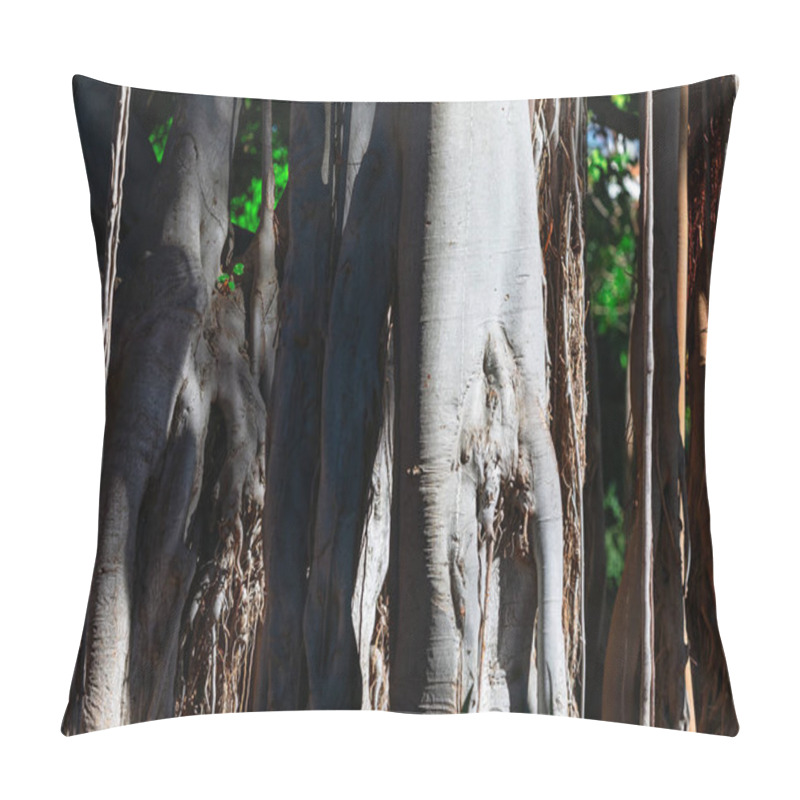 Personality  Trunks And Aerial Roots Of A Banyan Tree Create A Complex And Visually Striking Pattern With Varying Shades Of Gray. Intertwined Trunks And Hanging Roots Showcase The Tree Unique And Intricate Structure Pillow Covers