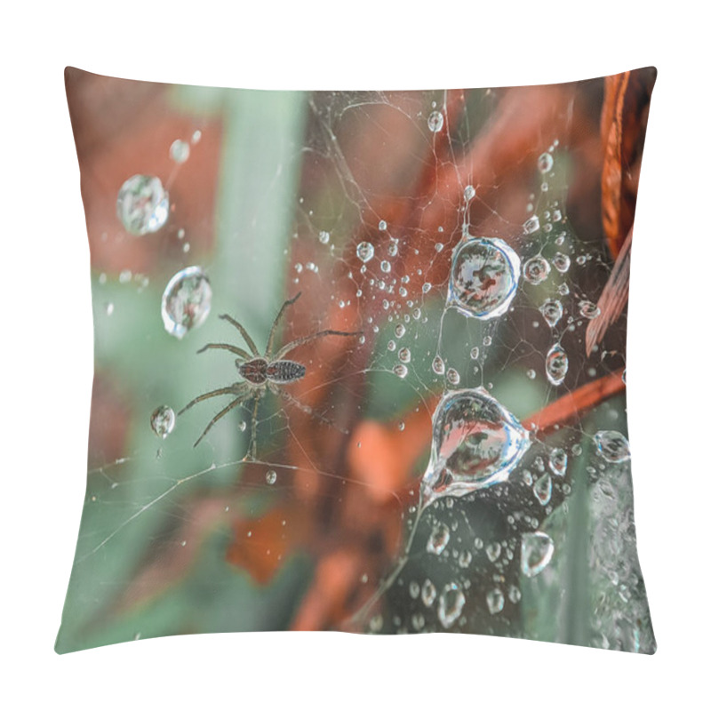 Personality  Water Droplets On Spider Web In Nature. Dew On Spider Web Pillow Covers