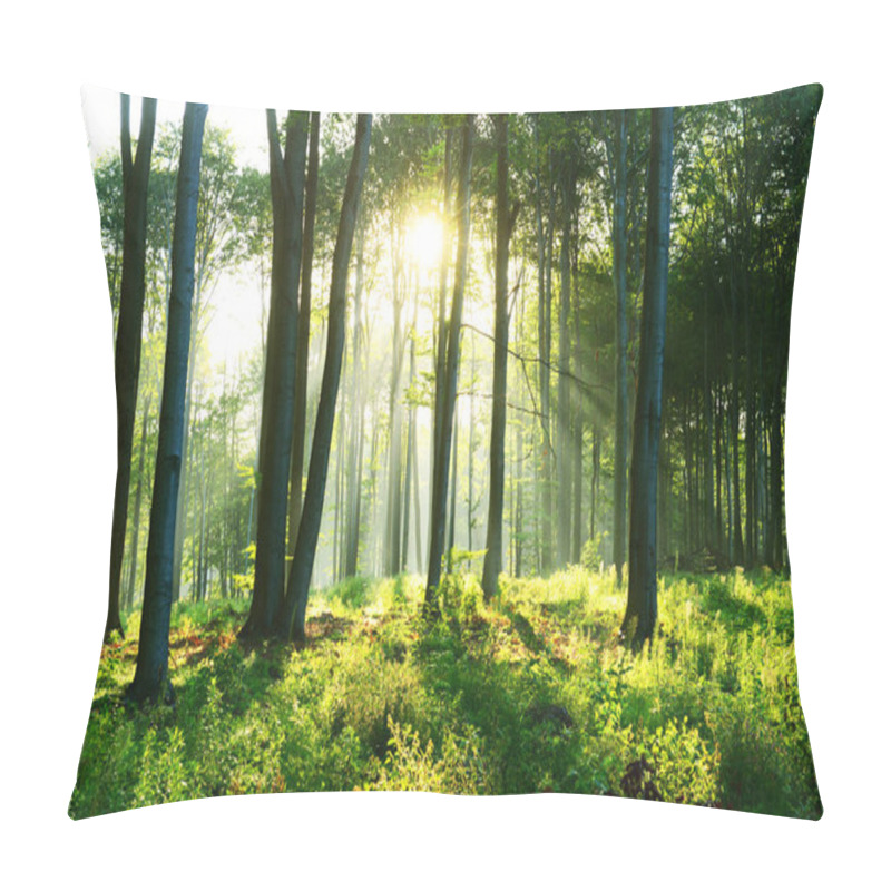 Personality  Beautiful Morning With Sunbeams In The Forest Pillow Covers