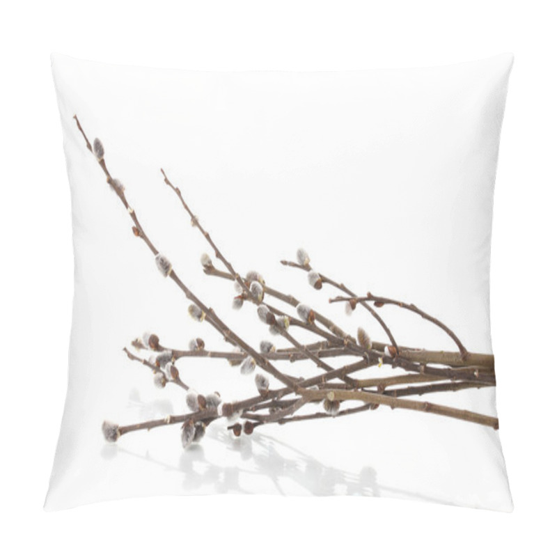 Personality  Pussy Willow Twigs Isolated On White Pillow Covers