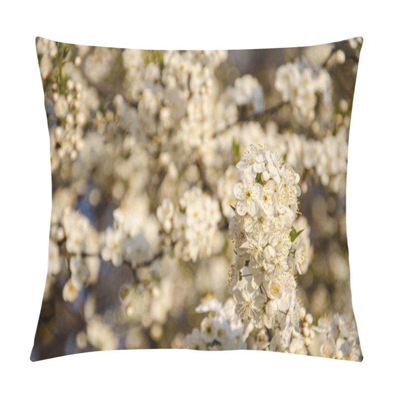 Personality  White Blooming Cherry Blossoms. Spring Concept. Selective Focus Cherry Flowers Against Background Of Blurry Flowering Branches. Pillow Covers