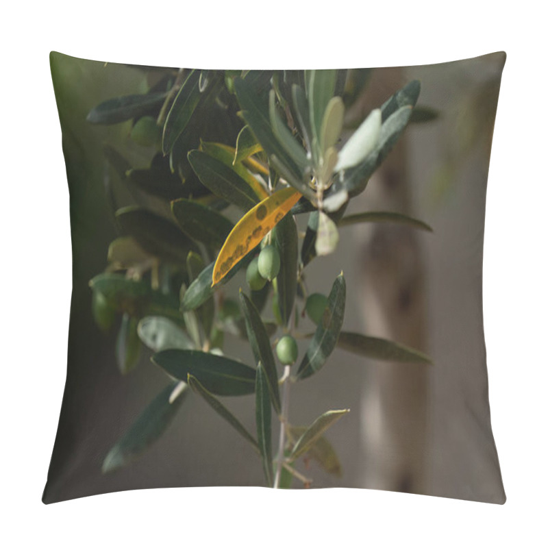 Personality  Disease In The Olive Tree. Olive Leaf Spot Is A Fungus With The Scientific Name Spilocea Oleagina Pillow Covers