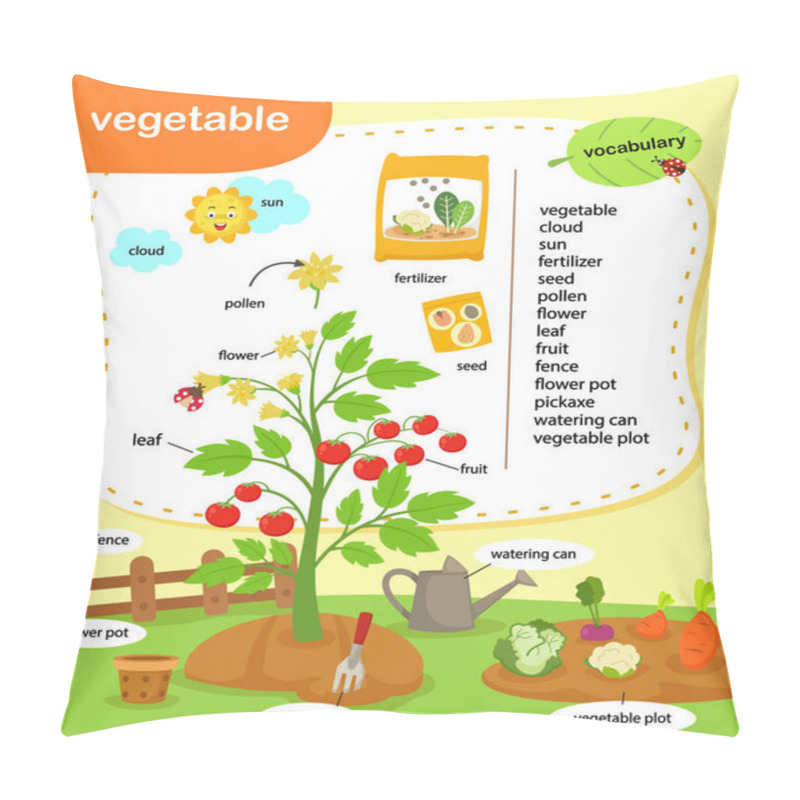 Personality  Education Vocabulary Vegetable Vector Illustration Pillow Covers