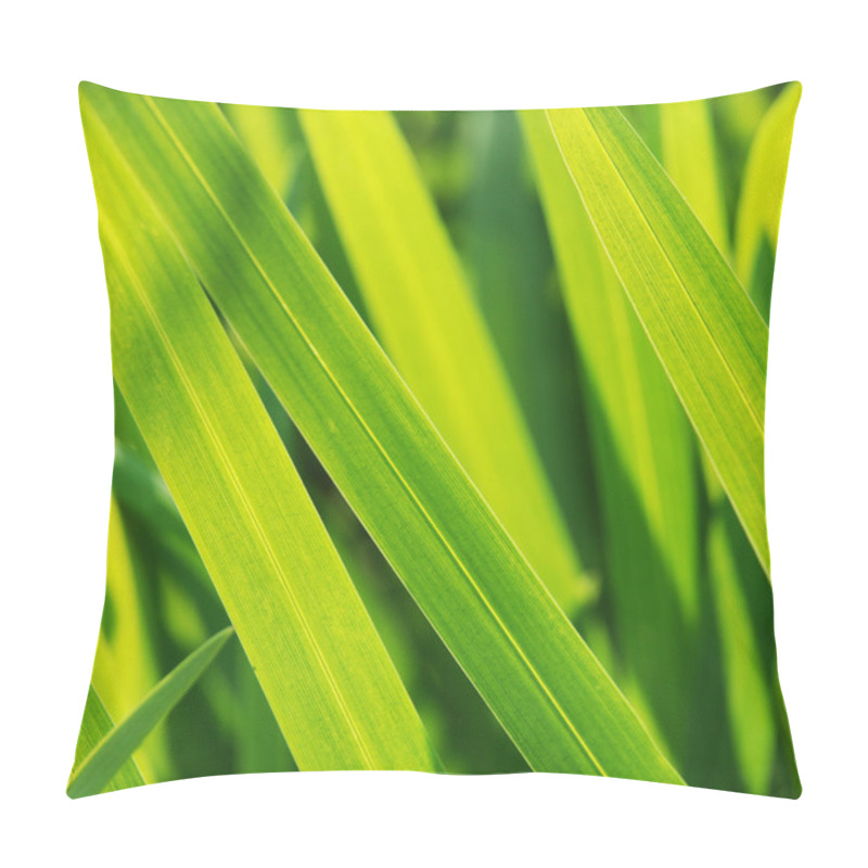 Personality  Green Grass Pillow Covers