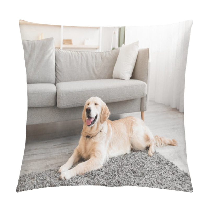 Personality  Portrait Of Cute Healthy Dog Lying On The Floor Carpet Pillow Covers