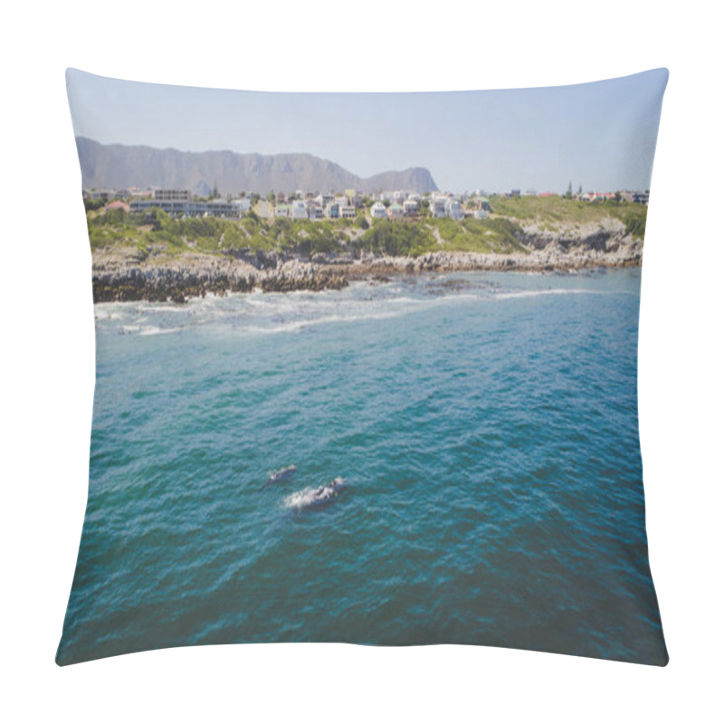 Personality  Aerial View Over A Southern Right Whale And Her Calf Along The Overberg Coast Close To Hermanus In South Africa Pillow Covers