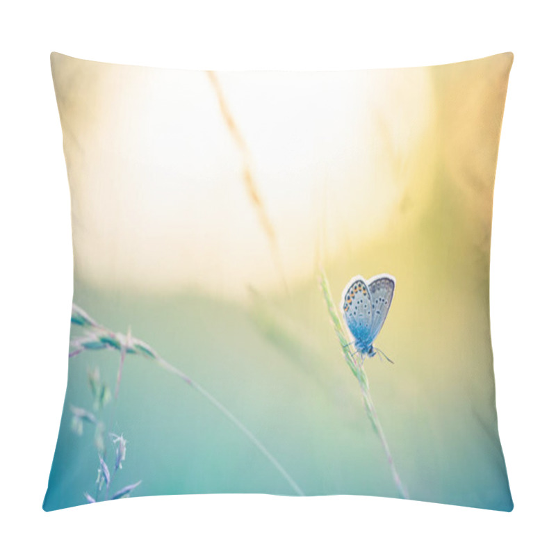 Personality  Nature Background Concept. Beautiful Summer Meadow Background. Inspirational Nature Closeup. Beautiful Fresh Spring Grass Meadow Morning On Nature And Perfect Butterfly On Soft Green Background, Macro.  Pillow Covers