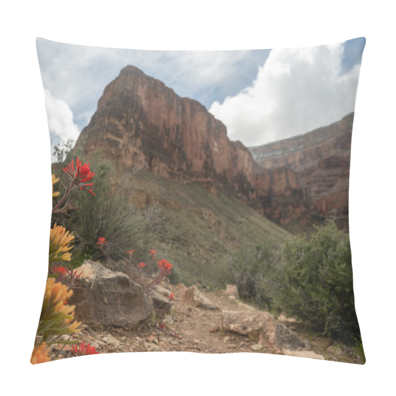 Personality  Yellow And Orange Paintbrush Blooms Along The Tonto Trail In The Grand Canyon Pillow Covers