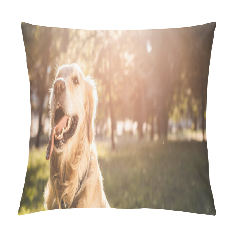 Personality  Panoramic Shot Of Golden Retriever Sitting On Meadow In Sunlight Pillow Covers