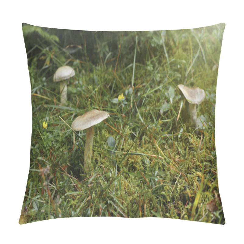 Personality  Many Poisonous Mushrooms Growing In Green Forest Pillow Covers