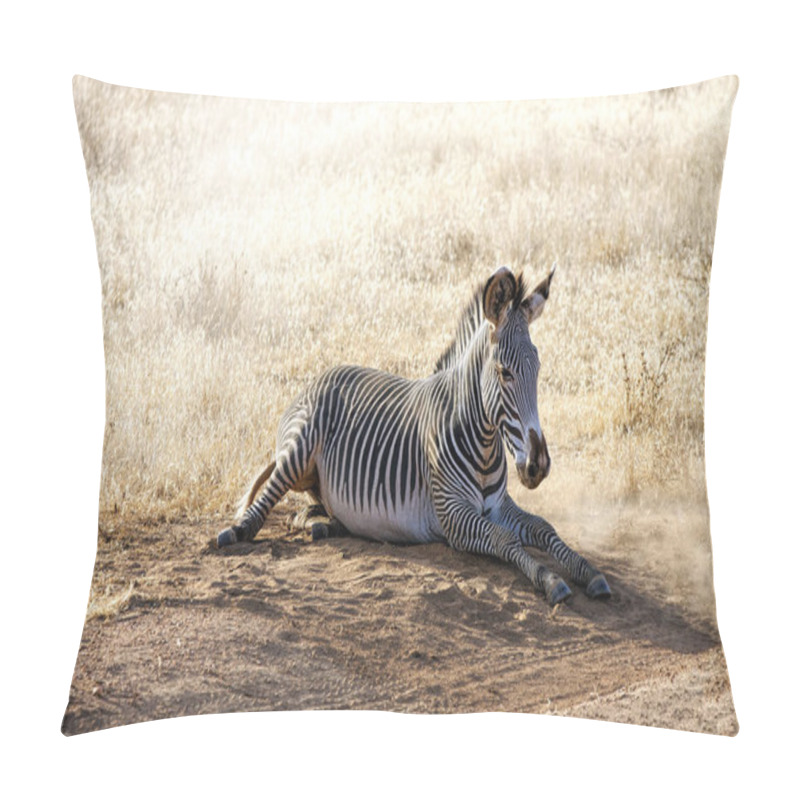 Personality  Cute Zebra In Wild Nature At Daytime  Pillow Covers