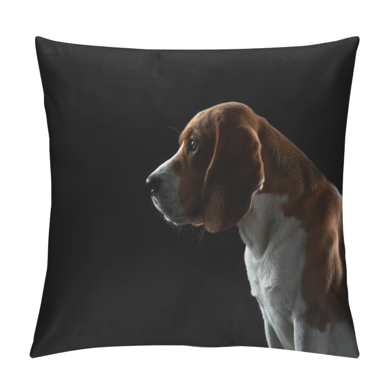 Personality  Portrait On A Dark Background. Funny Beagle  Pillow Covers