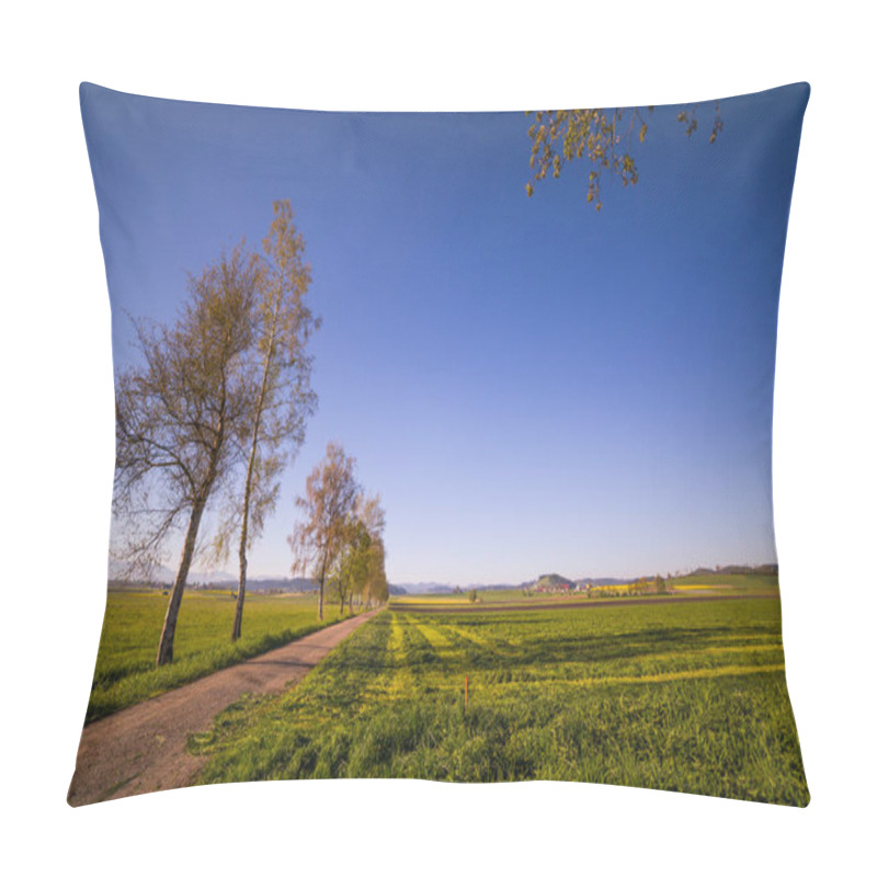 Personality  Wind-shaped Birch Trees And Countryside Fields On A Sunny Spring Day Pillow Covers