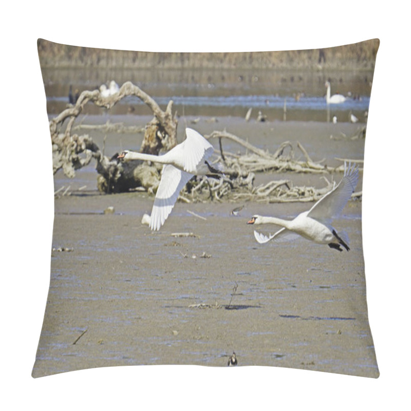 Personality  Two Adult Specimens Of Mute Swan In Flight Over A Marshy Area, Cygnus Olor; Anatida Pillow Covers