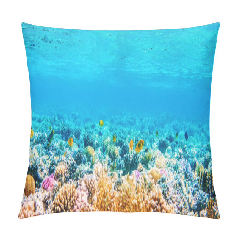 Personality  Seascape With Tropical Fish And Coral Reefs Pillow Covers