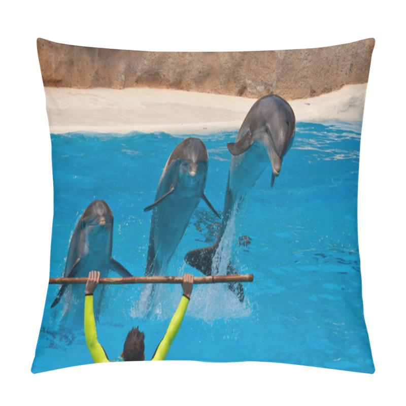 Personality  Dolphins Pillow Covers