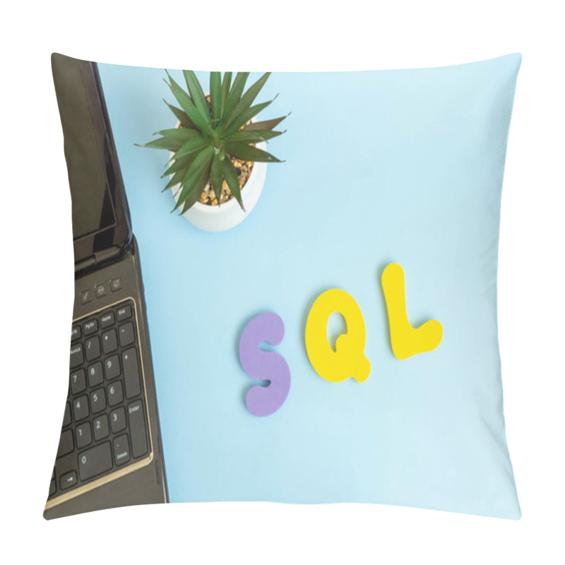 Personality  Structured Query Language. Word Sql, Laptop And Succulent On Blue Background. Flat Lay, Top View. Pillow Covers