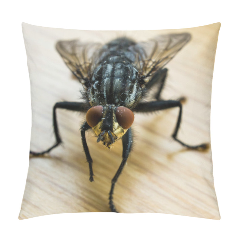 Personality  Common House Fly Pillow Covers