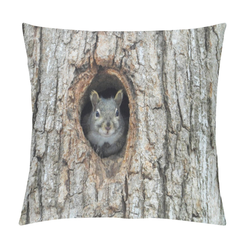 Personality  Squirrel Looking Out Of A Hole In A Tree Cute Wildlife Photo Pillow Covers