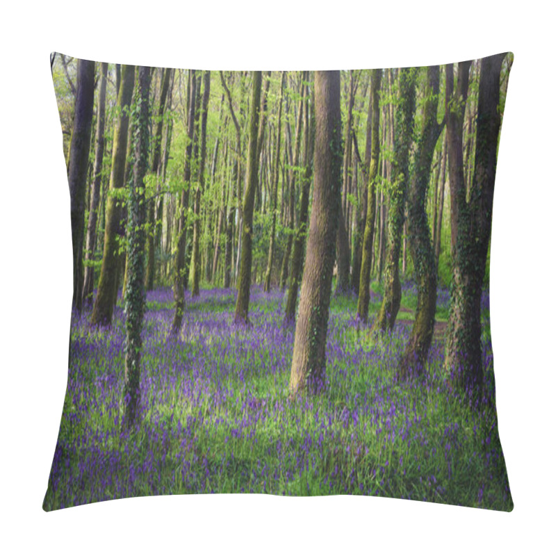 Personality  Bluebell Wood Cornwall England Uk  Pillow Covers