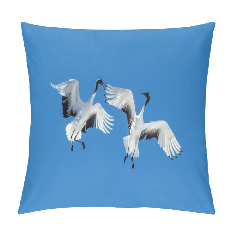 Personality  Red Crowned Cranes (grus Japonensis) In Flight With Outstretched Wings Against Blue Sky, Winter, Hokkaido, Japan, Japanese Crane, Beautiful Mystic National White And Black Birds, Elegant Animal Pillow Covers