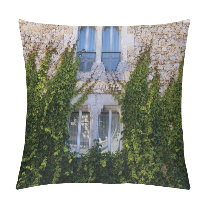 Personality  Ivy Pillow Covers