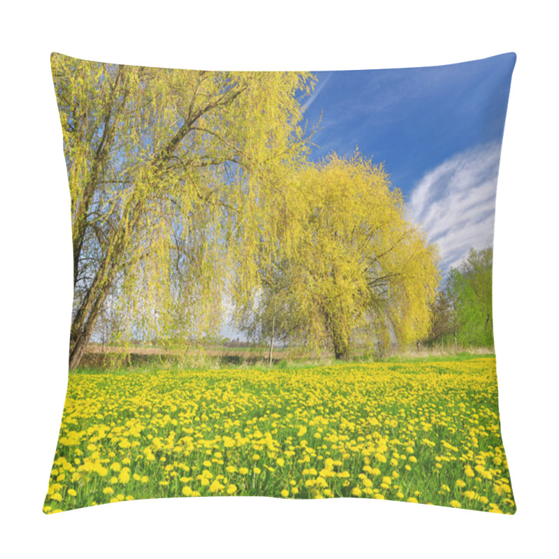 Personality  Spring Landscape Pillow Covers