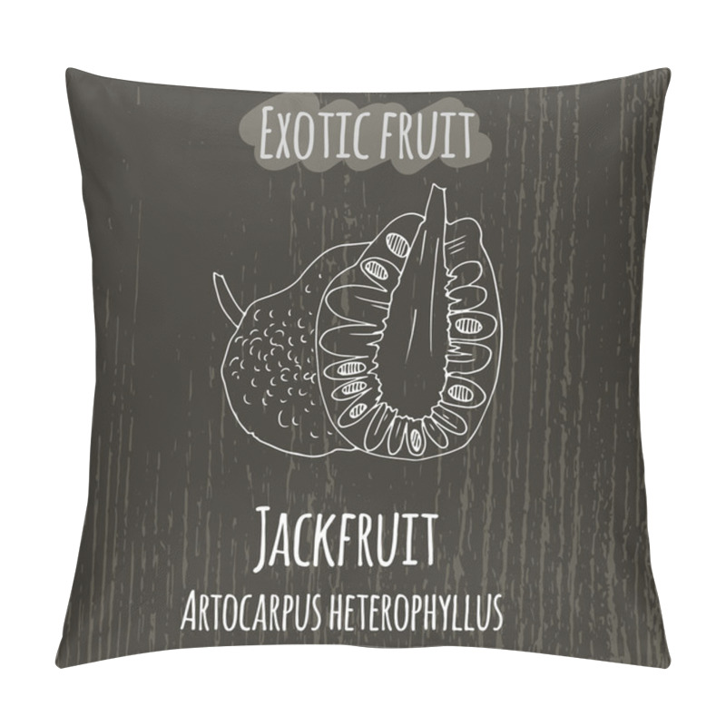 Personality  Hand Drawing Illustration Of Jackfruit. Artocarpus Heterophyllus Pillow Covers