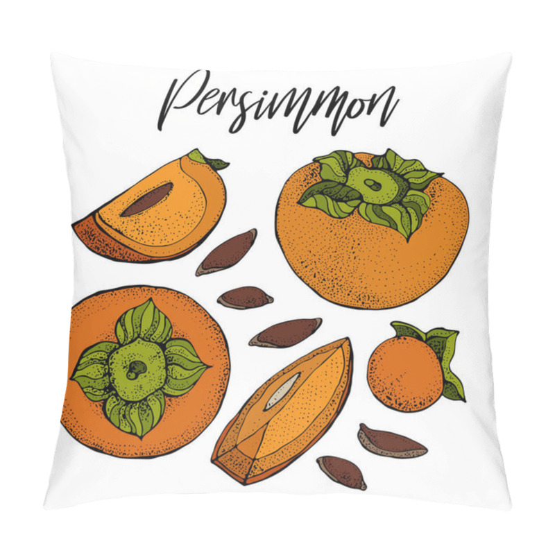 Personality  Persimmon Vector Drawing Set. Isolated Hand Drawn Object With Persimmon Sliced Piece And Seeds. Fruit Sketch Style Illustration. Detailed Vegetarian Food Sketch.  Pillow Covers