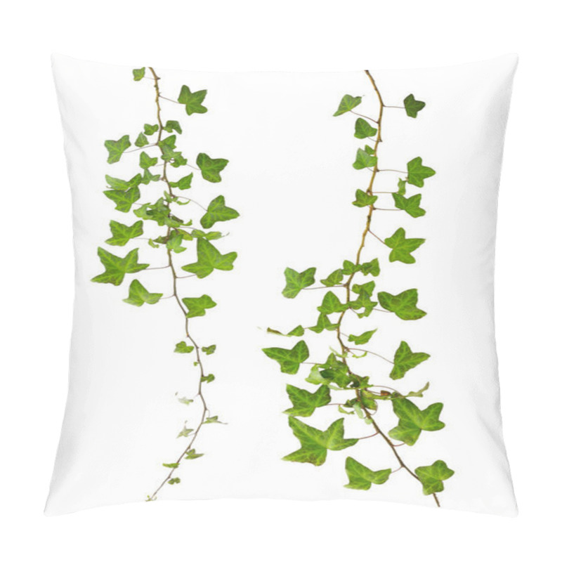 Personality  Sprig Of Ivy With Green Leaves Isolated On A White Background Pillow Covers