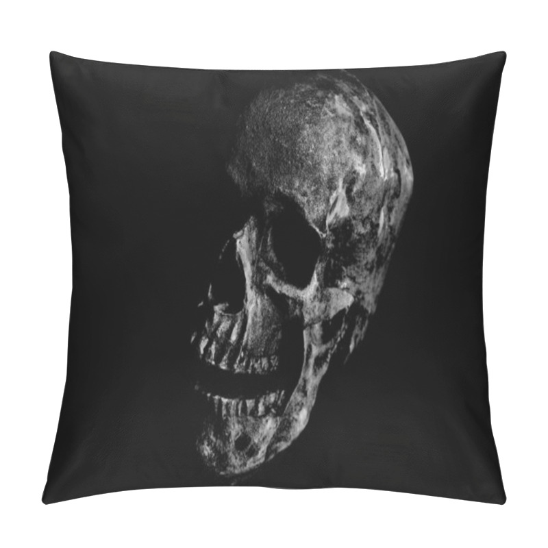 Personality  Halloween. Halloween Human Skull. Evil Laughing Human Skull. Spooky And Scary. Room For Text. Halloween Skull Art.Human Skull Art. Covid-19 Halloween Human Skull. Monstrous Human Skull Isolated On Black. Coronavirus Human Skull In Black. Covid-19. Pillow Covers