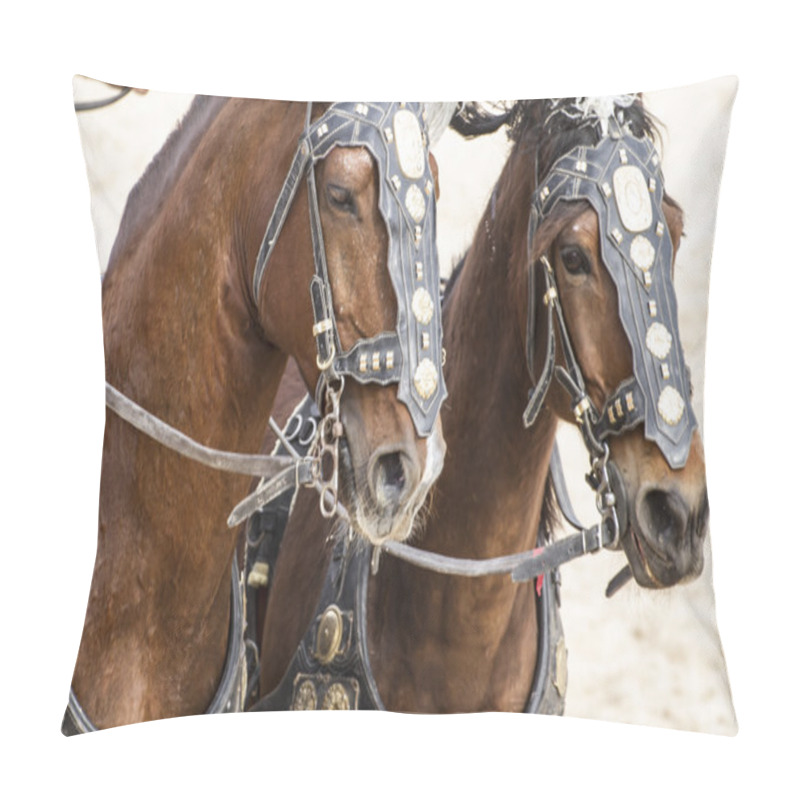 Personality  Roman Chariot In A Fight Of Gladiators Pillow Covers