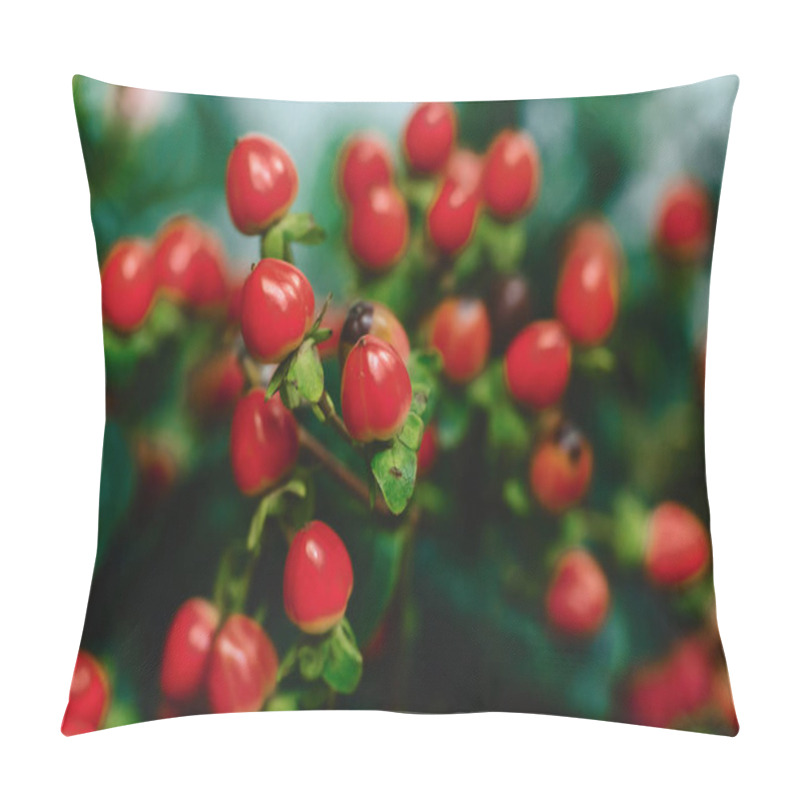 Personality  Hypericum On Simple Dark Background In Studio Pillow Covers