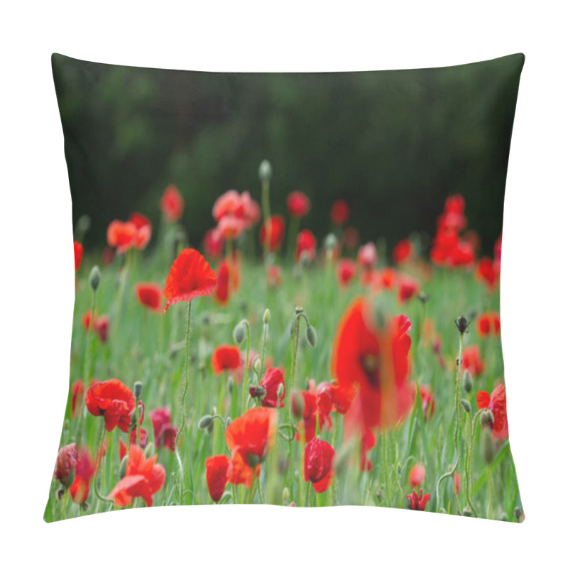 Personality  Beautiful Red Poppies Pillow Covers