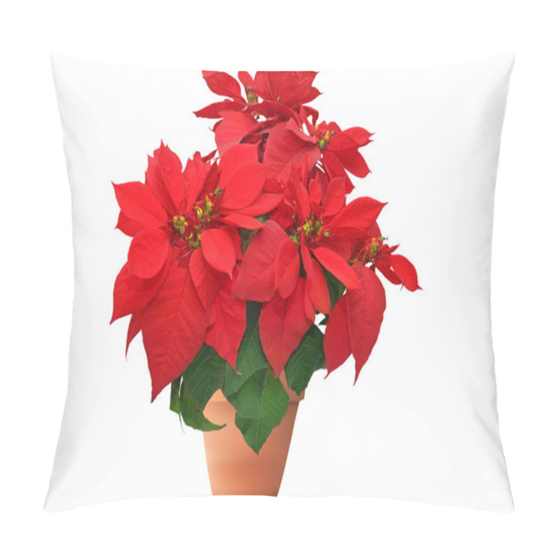 Personality  Red Christmas Flower On White Background Pillow Covers