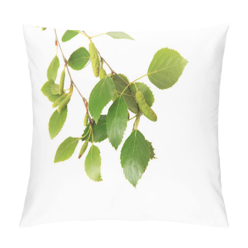 Personality  Green Birch Leaves Isolated On White Pillow Covers