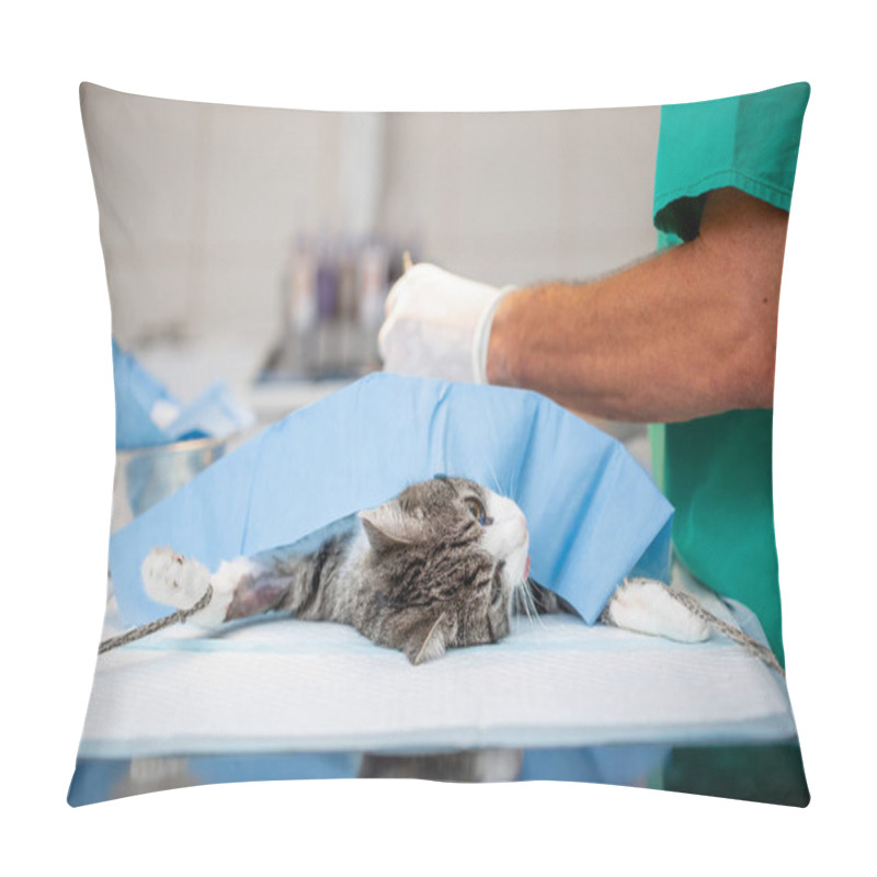 Personality  Neutering Or Surgery A Cat In Veterinary Clinic, Vet Concept Pillow Covers