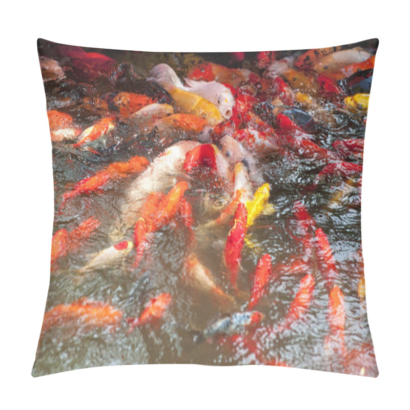 Personality  Beautiful Golden Koi Fish In The Fish Ponds Pillow Covers