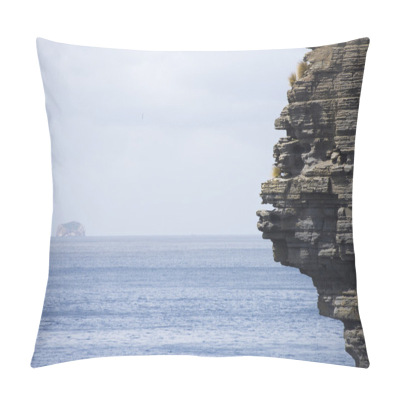 Personality  Cliff Coast Tasman Peninsula Southern Ocean Pillow Covers