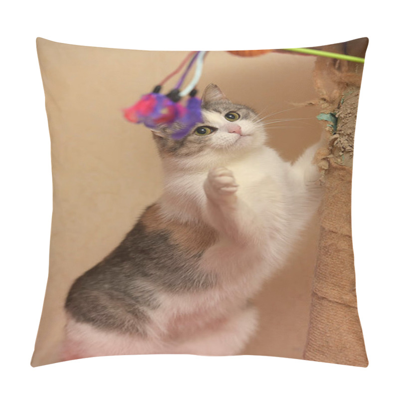 Personality  Cute Playful Cat Playing Catches Standing On Its Hind Legs Pillow Covers